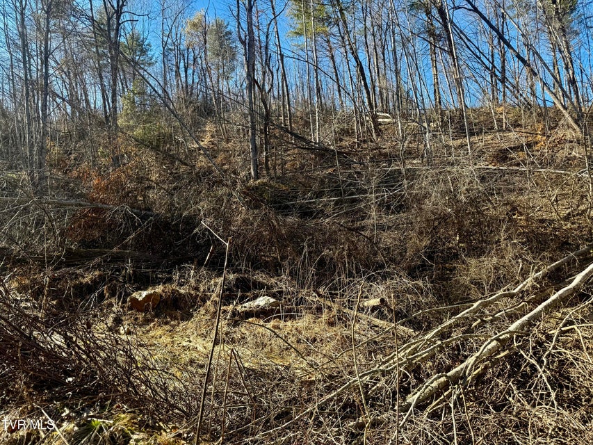 Photo #21: 207/Ac Tbd Highway 421