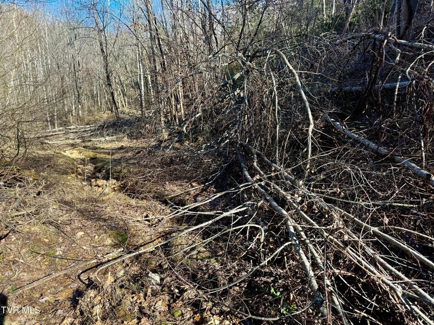 Photo #22: 207/Ac Tbd Highway 421