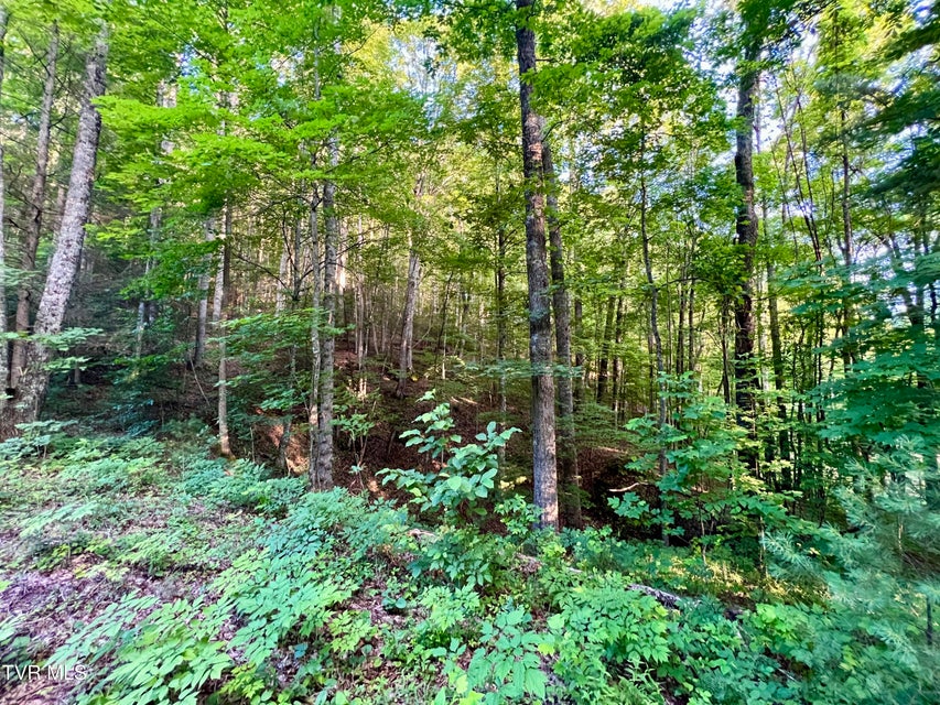 Photo #25: 207/Ac Tbd Highway 421