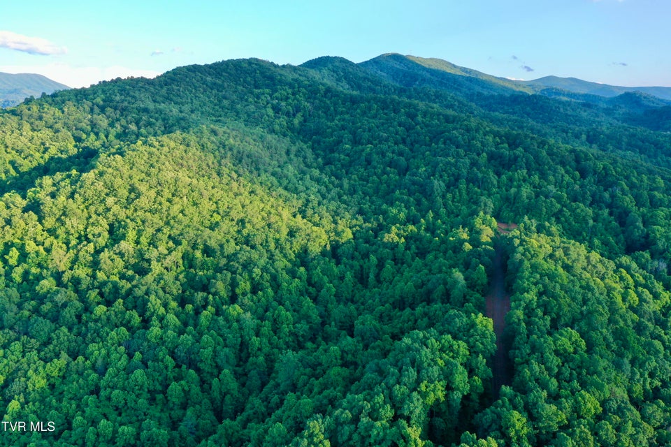 Photo #26: 207/Ac Tbd Highway 421