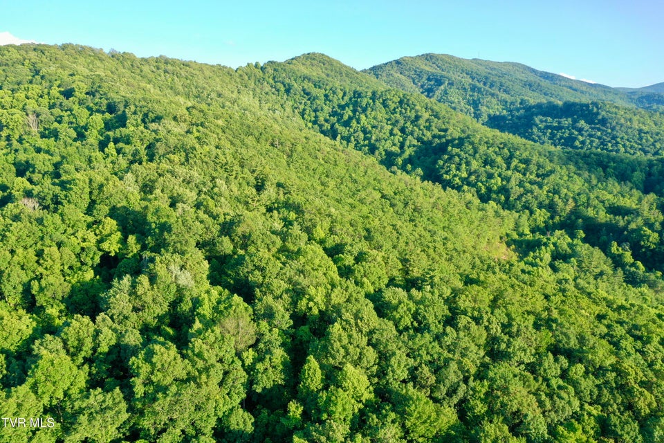 Photo #27: 207/Ac Tbd Highway 421