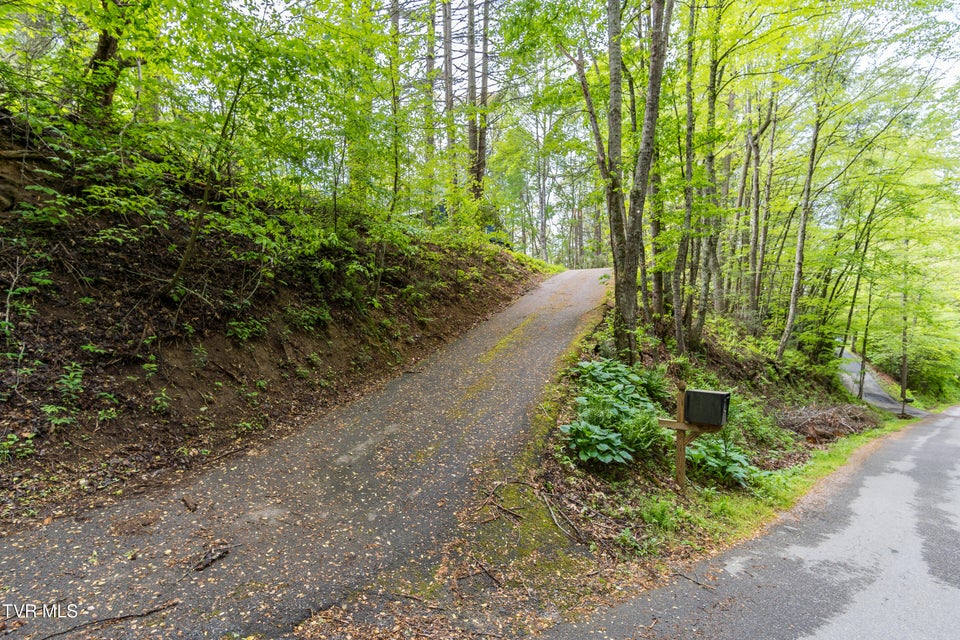 Photo #40: 388 Crestwood Drive