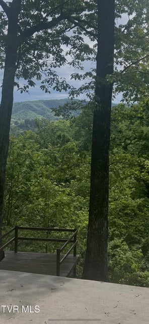 Photo #57: 124 Skyline Drive