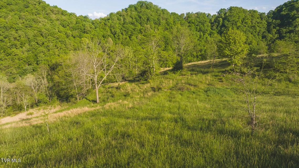 Photo #3: Lots 6-10 Big Springs Road