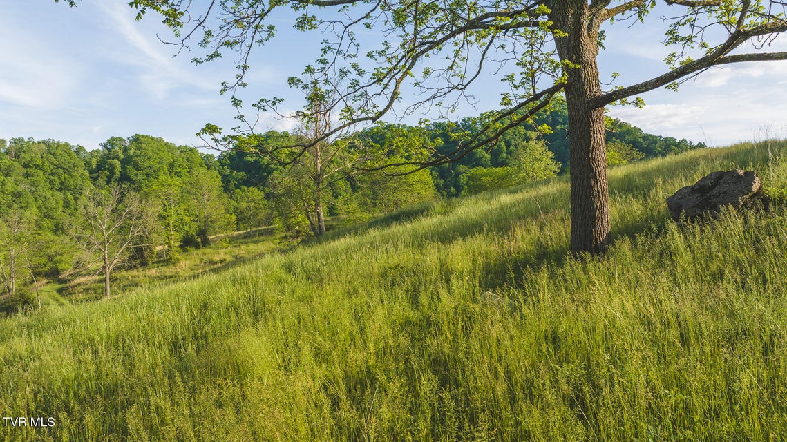 Photo #5: Lots 6-10 Big Springs Road