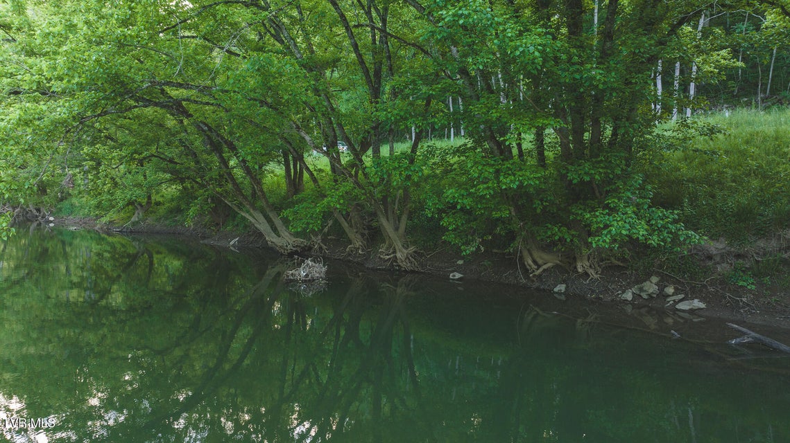 Photo #8: Lots 6-10 Big Springs Road