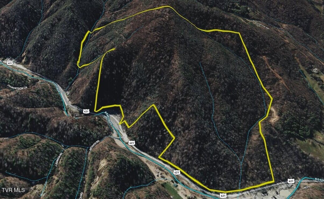 Photo #28: 207/Ac Tbd Highway 421