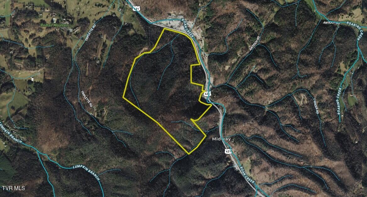 Photo #33: 207/Ac Tbd Highway 421