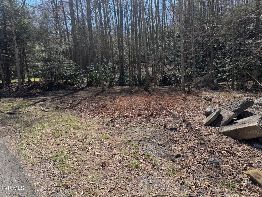 Photo #19: 6430 Hoot Owl Hollow Road