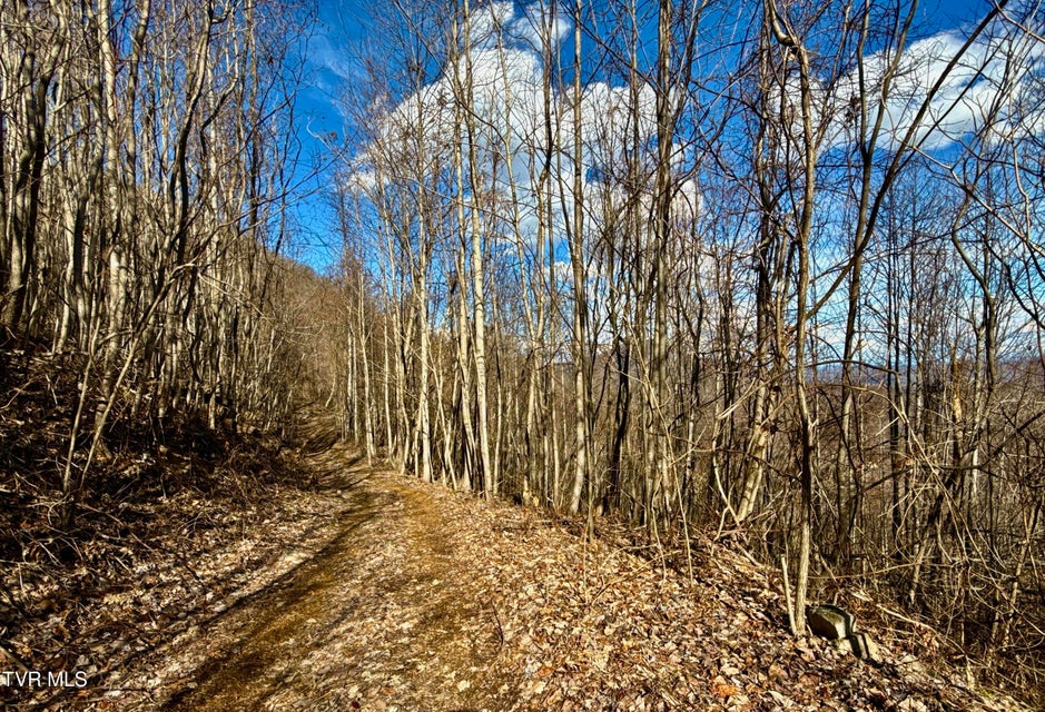 Photo #7: Lot 1 Caney Creek Lane