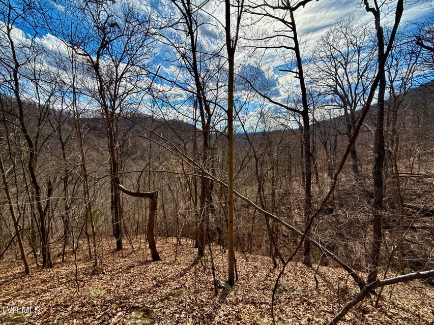 Photo #11: Lot 1 Caney Creek Lane
