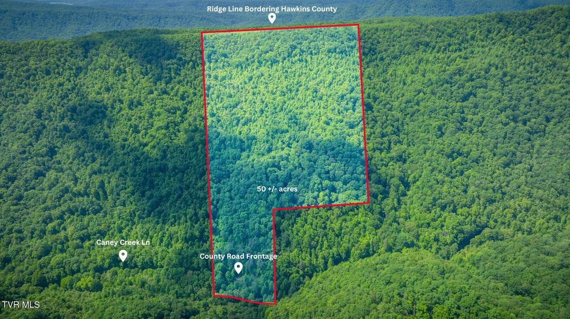 Photo #12: Lot 1 Caney Creek Lane