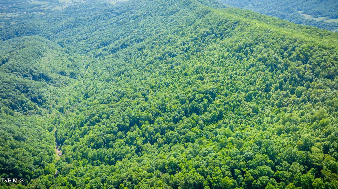 Photo #13: Lot 1 Caney Creek Lane