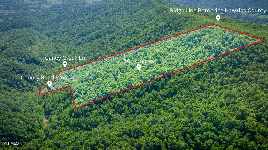 Photo #14: Lot 1 Caney Creek Lane