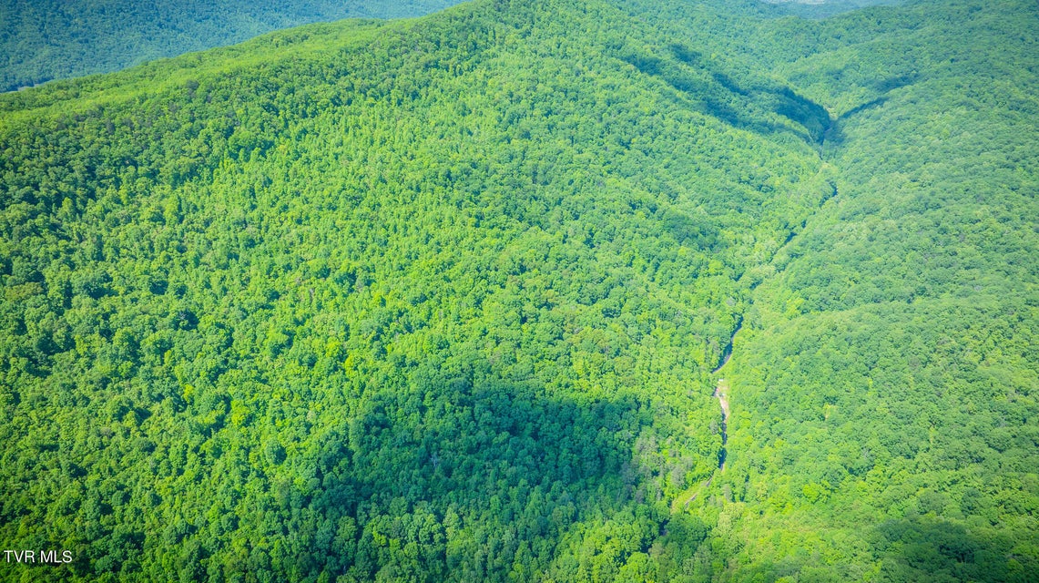 Photo #15: Lot 1 Caney Creek Lane