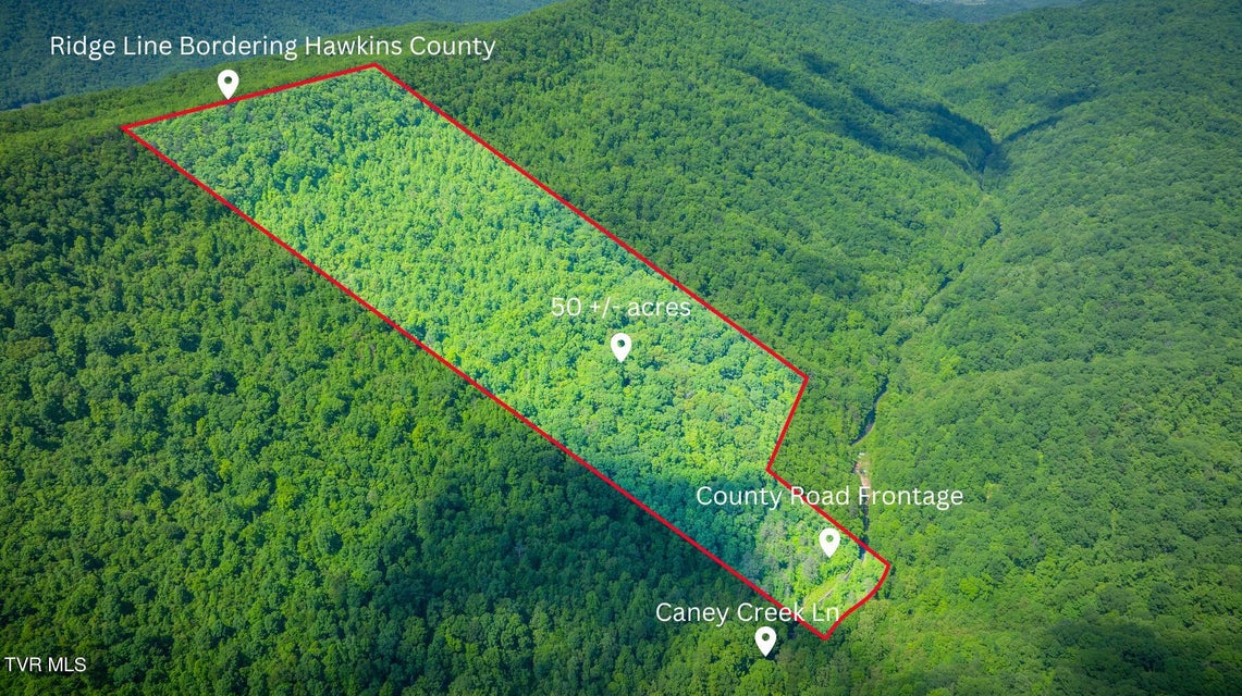 Photo #16: Lot 1 Caney Creek Lane