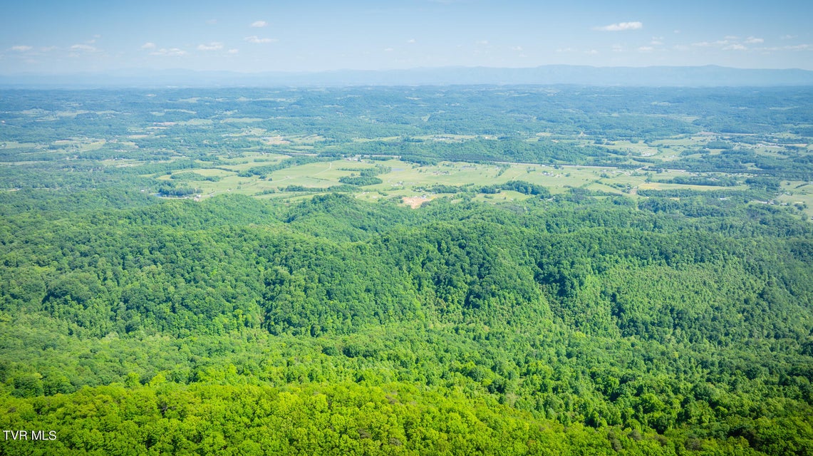 Photo #18: Lot 1 Caney Creek Lane