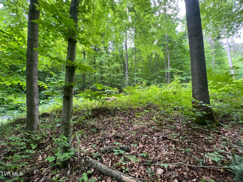 Photo #20: Lot 1 Caney Creek Lane