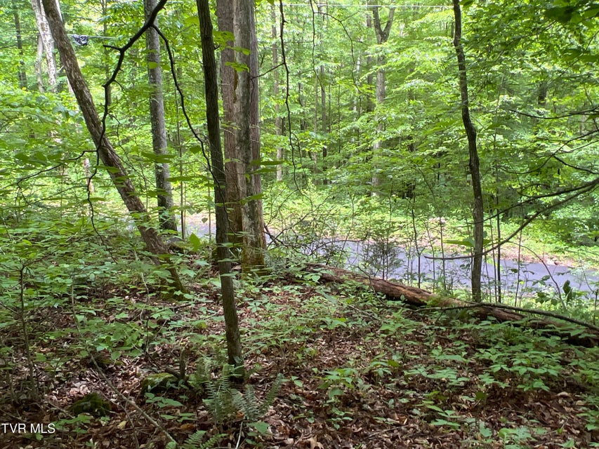 Photo #21: Lot 1 Caney Creek Lane