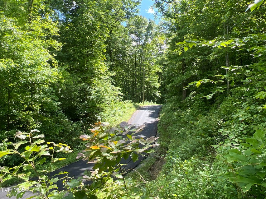 Photo #22: Lot 1 Caney Creek Lane