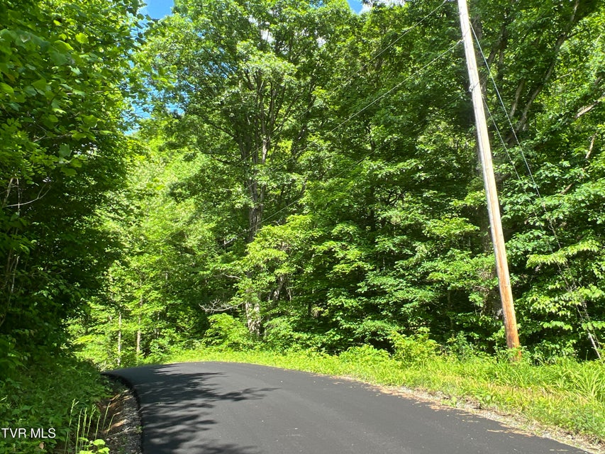 Photo #23: Lot 1 Caney Creek Lane
