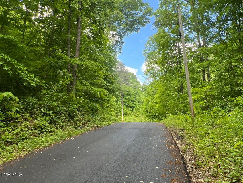 Photo #24: Lot 1 Caney Creek Lane