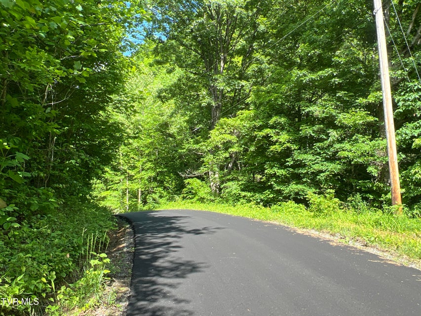 Photo #26: Lot 1 Caney Creek Lane