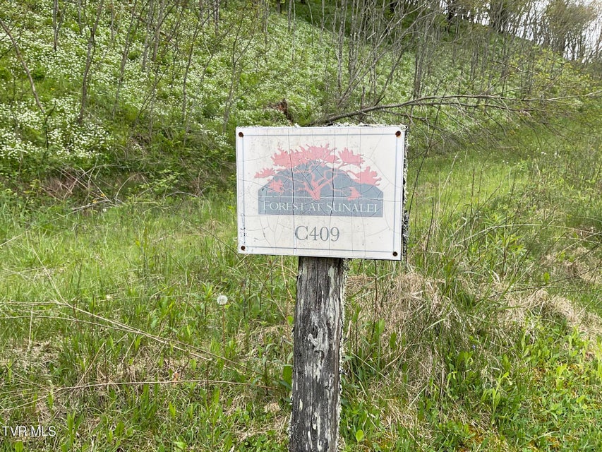 Photo #5: Tbd Moddock Road
