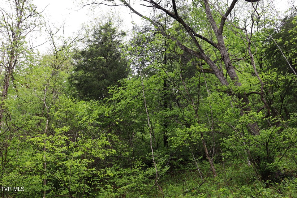 Photo #9: 29188 Chestnut Road