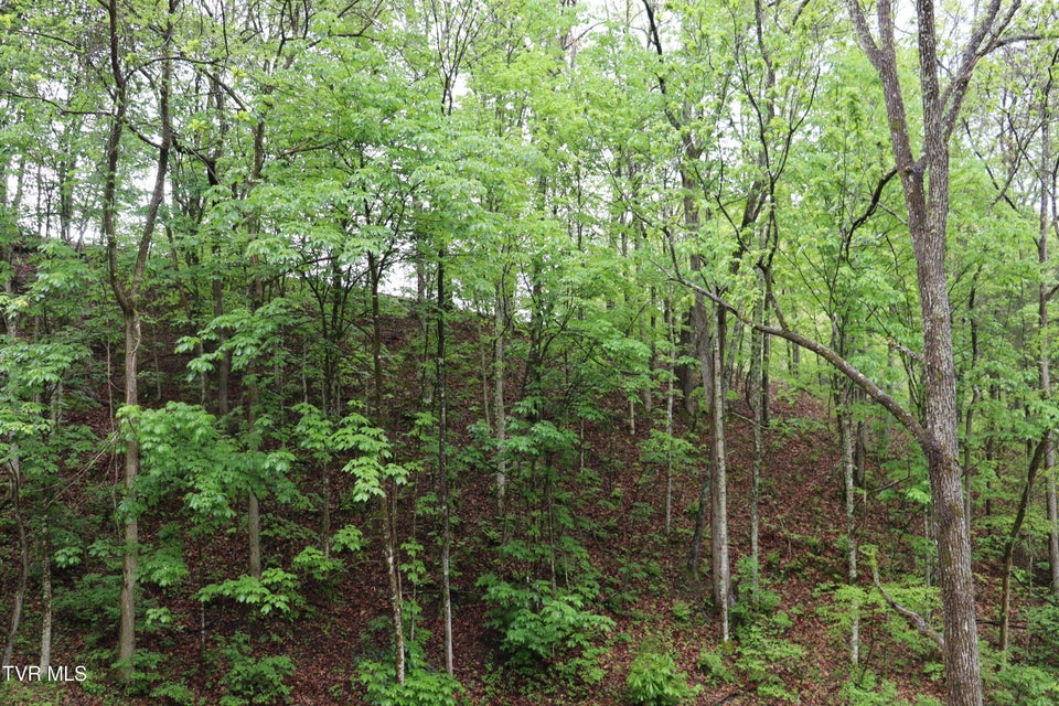 Photo #10: 29188 Chestnut Road