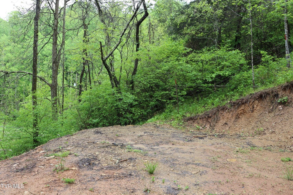Photo #11: 29188 Chestnut Road