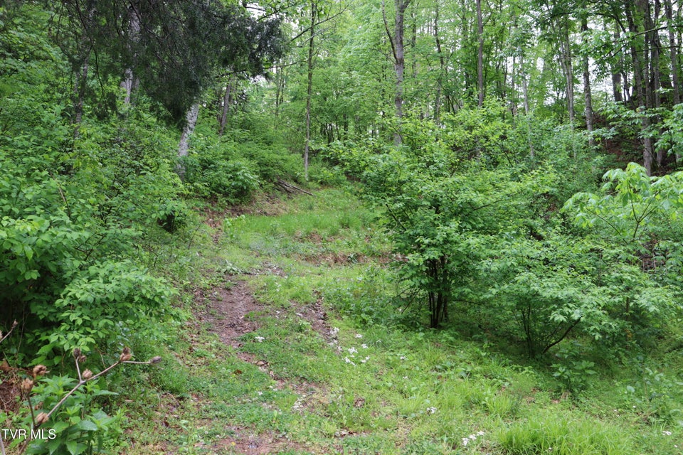 Photo #12: 29188 Chestnut Road