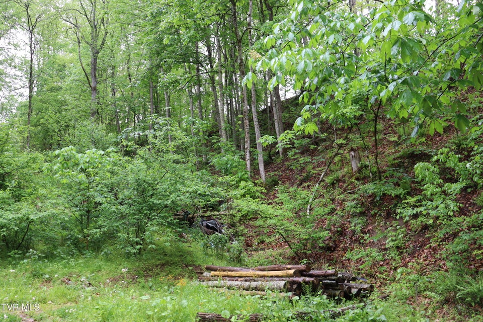 Photo #13: 29188 Chestnut Road