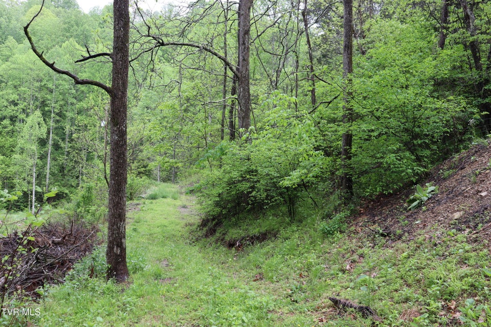 Photo #14: 29188 Chestnut Road