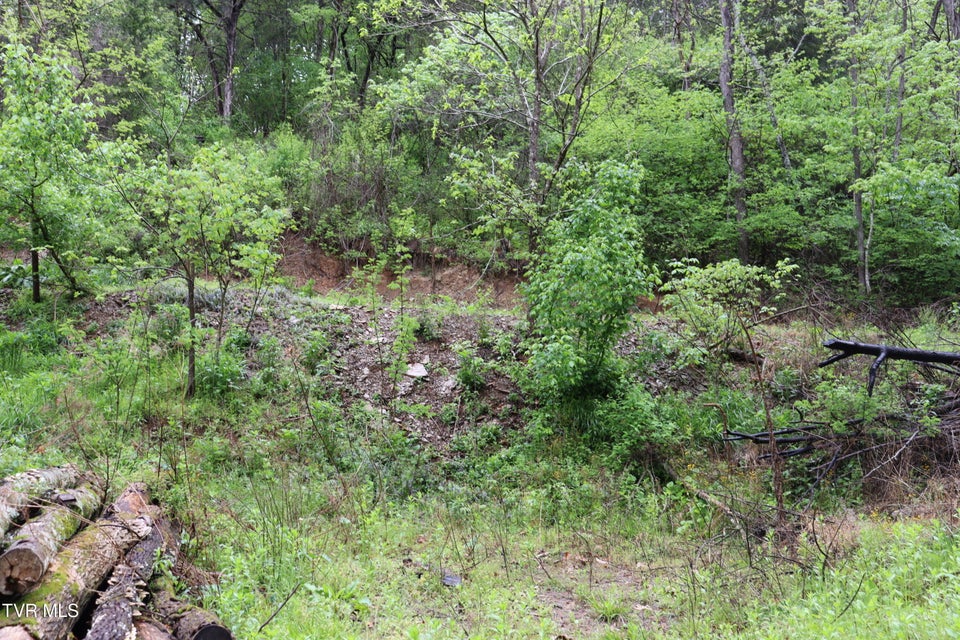 Photo #15: 29188 Chestnut Road