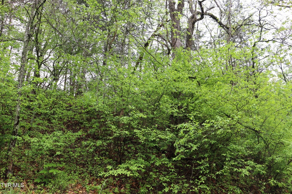 Photo #17: 29188 Chestnut Road