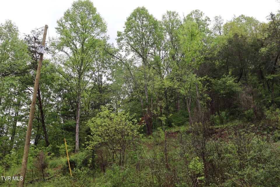 Photo #18: 29188 Chestnut Road