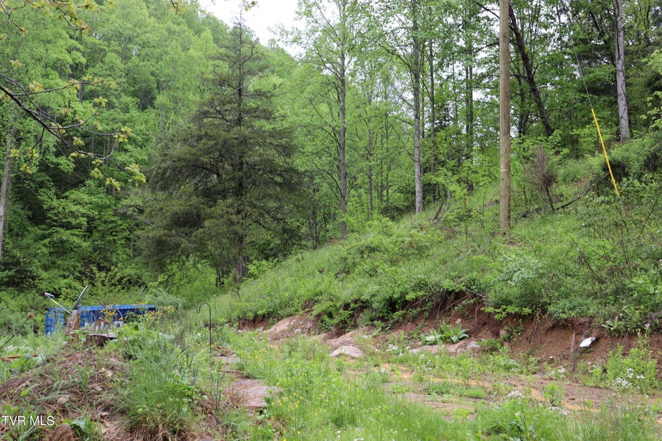 Photo #19: 29188 Chestnut Road