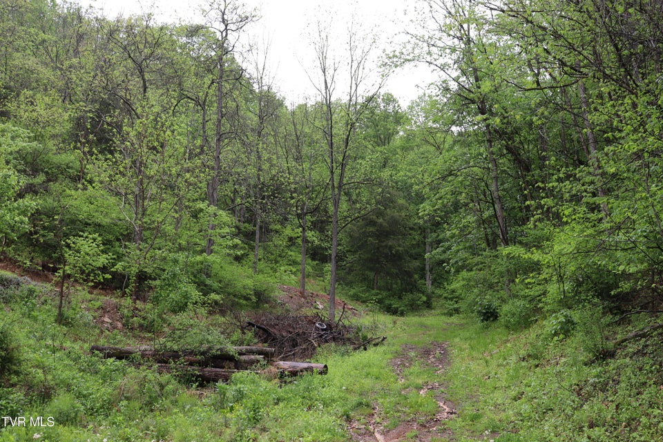 Photo #20: 29188 Chestnut Road