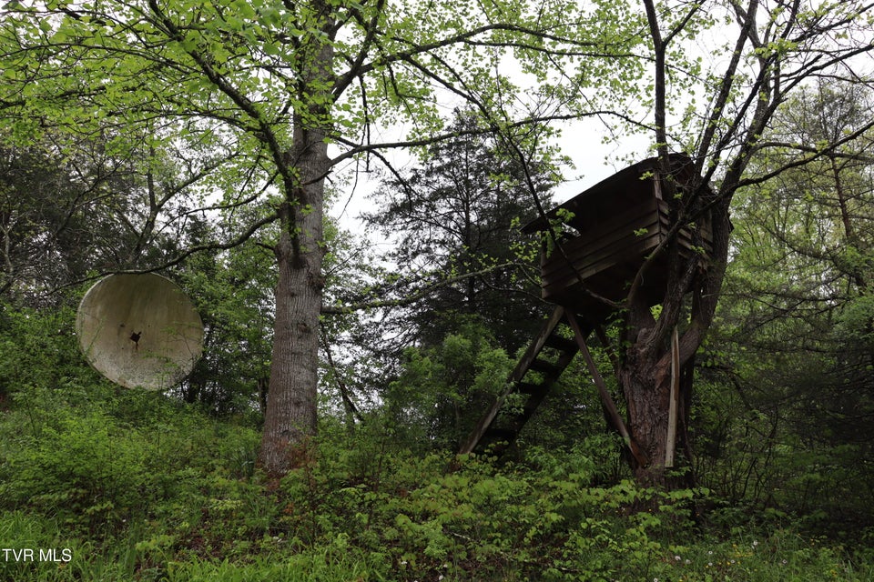 Photo #2: 29188 Chestnut Road