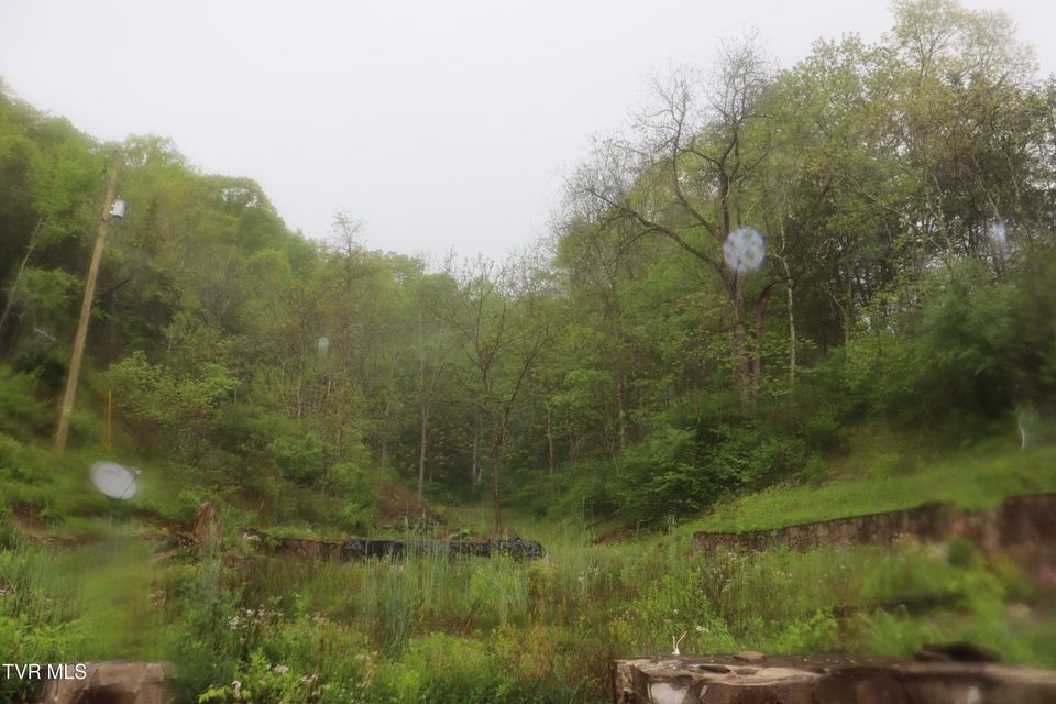 Photo #21: 29188 Chestnut Road