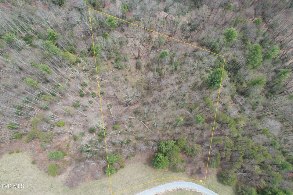 Photo #3: Lot 5 Walnut Mtn Farm Loop Road