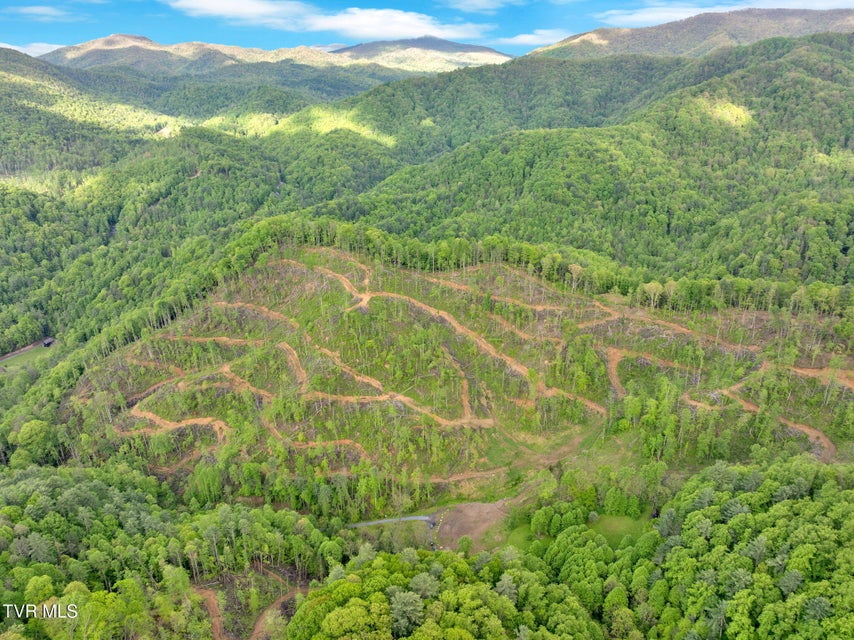 Photo #8: 59.8 Acres Willis Cove Road