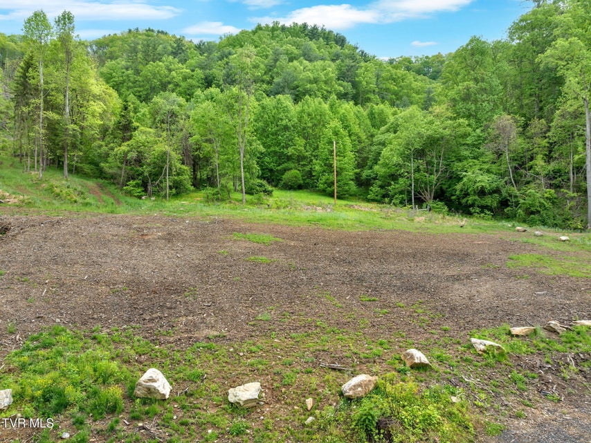 Photo #14: 59.8 Acres Willis Cove Road