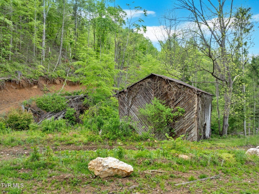 Photo #15: 59.8 Acres Willis Cove Road