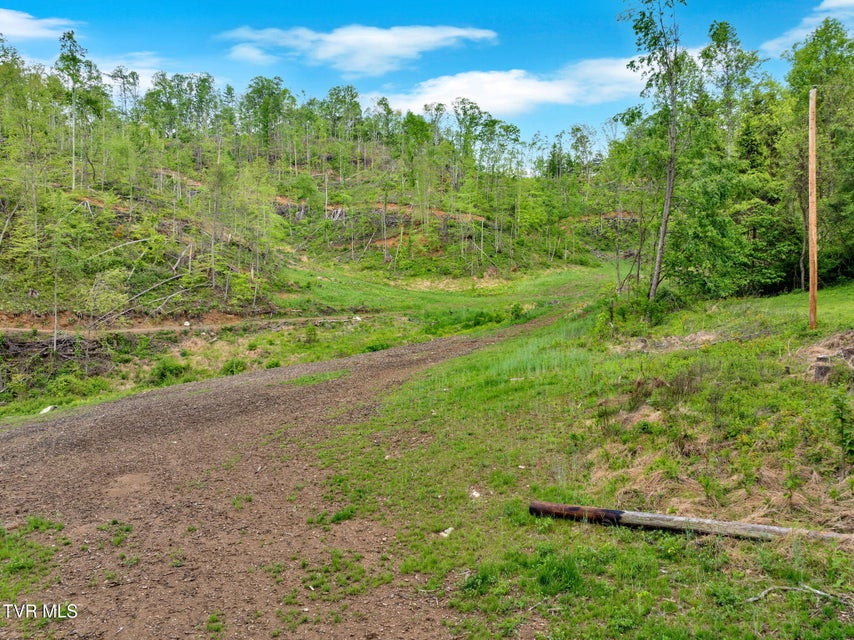 Photo #16: 59.8 Acres Willis Cove Road