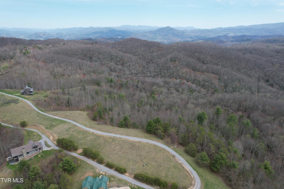 Photo #2: Lot 9 Dennis Cove/Walnut Mountain Road