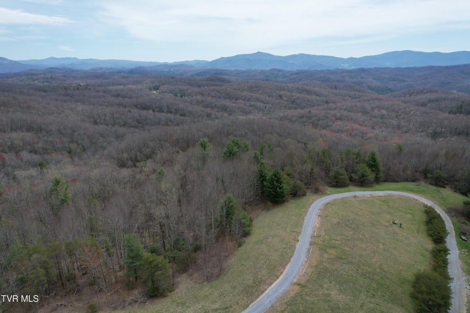 Photo #4: Lot 9 Dennis Cove/Walnut Mountain Road