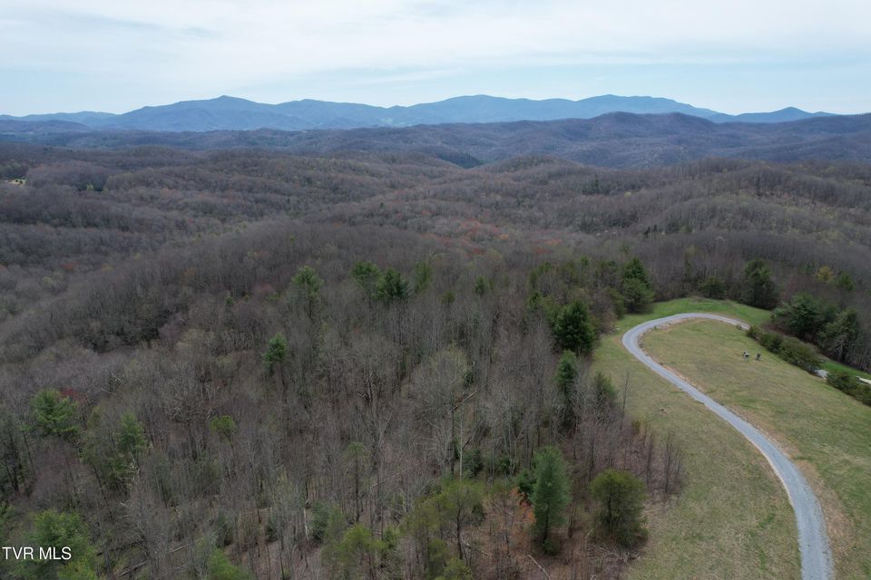 Photo #5: Lot 9 Dennis Cove/Walnut Mountain Road