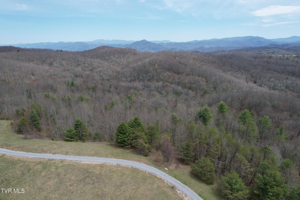Photo #12: Lot 9 Dennis Cove/Walnut Mountain Road